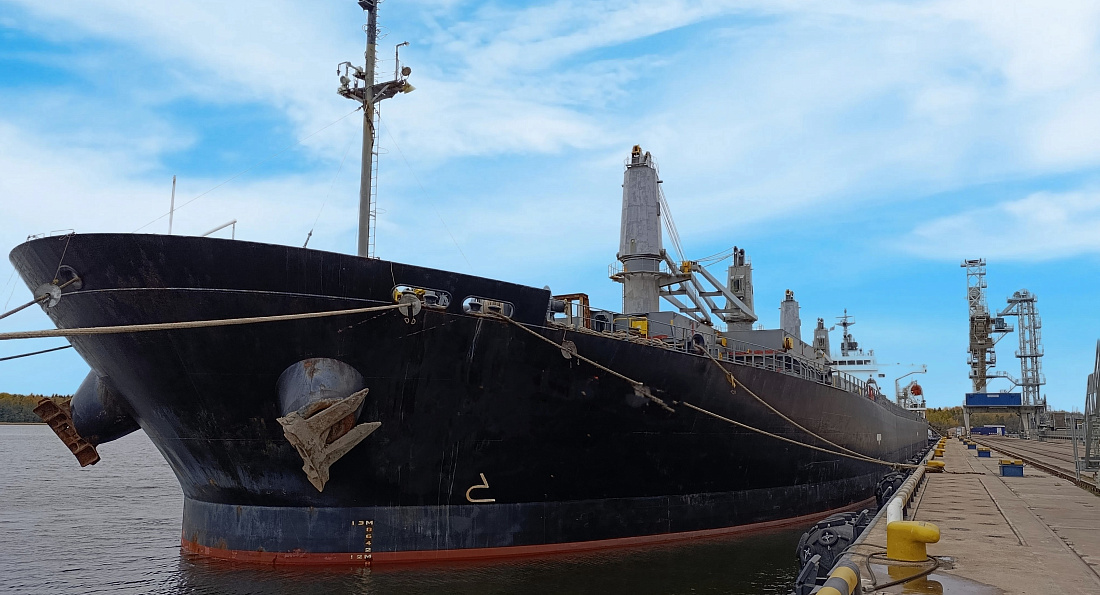 ФГБУ "ЦОК АПК" фиксирует рост экспортных отгрузок зерна в страны Африки из портов Балтики, Санкт-Петербурга и Ленинградской области / Фото: ФГБУ