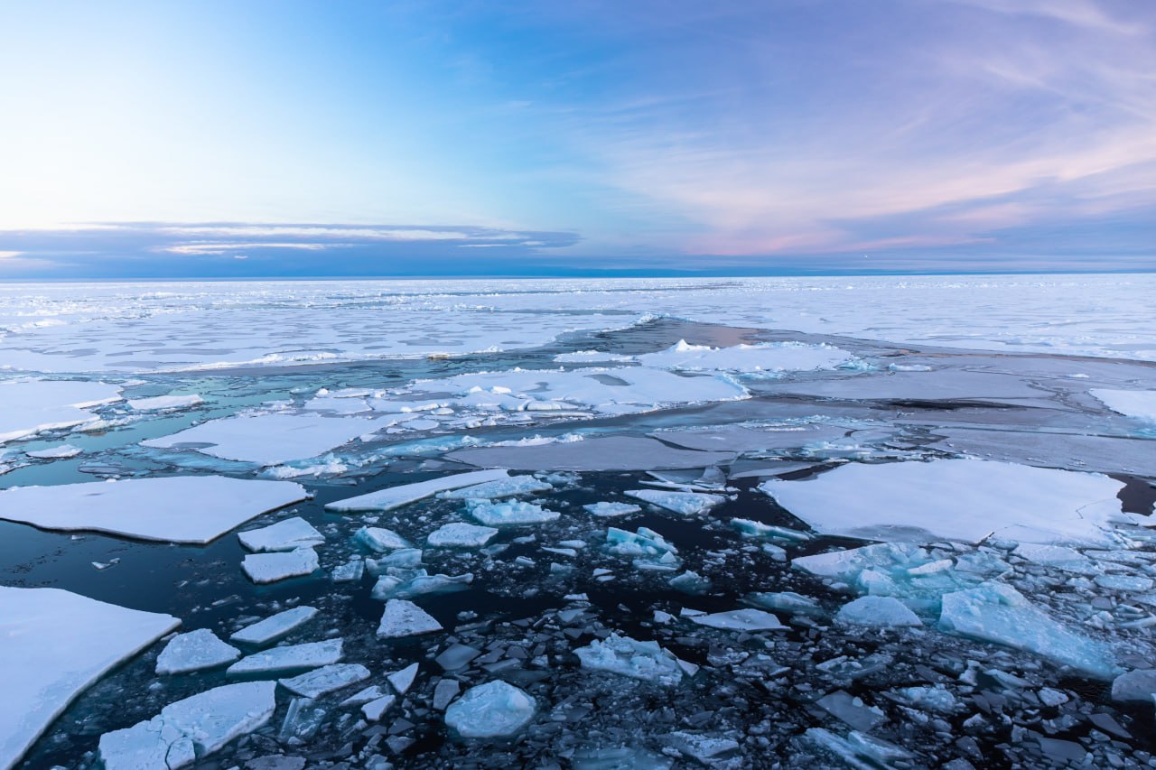На акватории Севморпути началось активное ледообразование в Чукотском море / Фото: ААНИИ