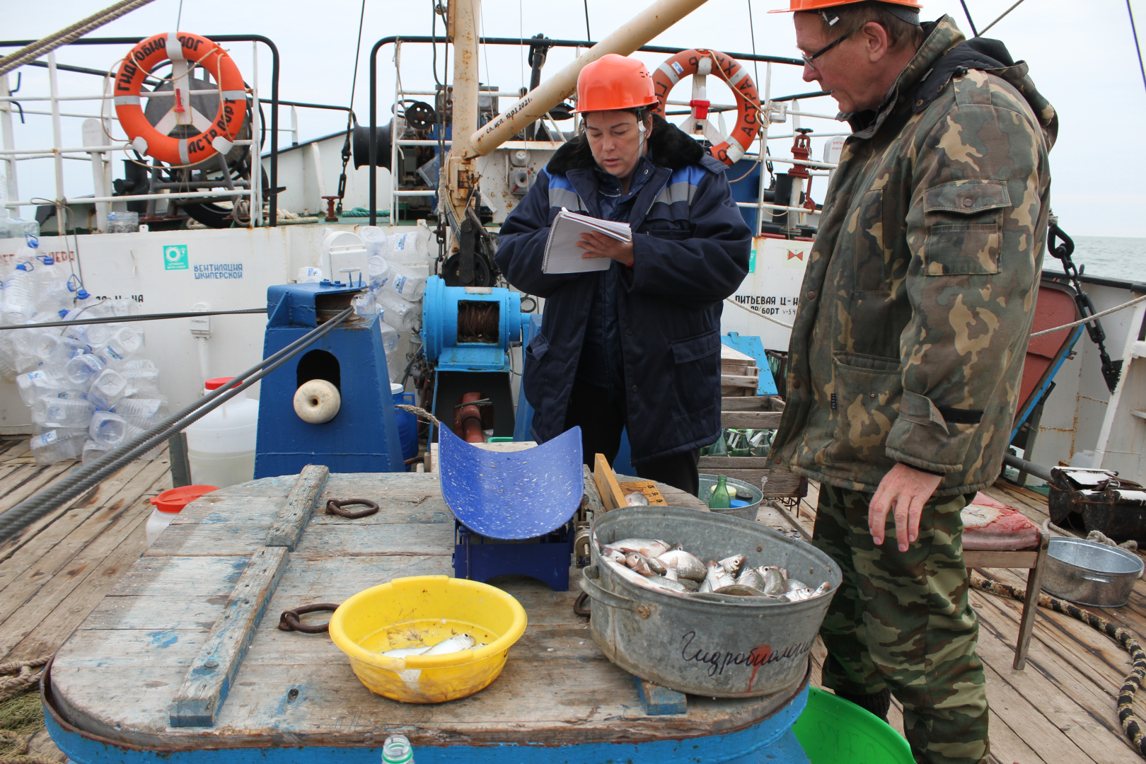 Иследование гидробиологии улова/ Фото: КаспНИРХ