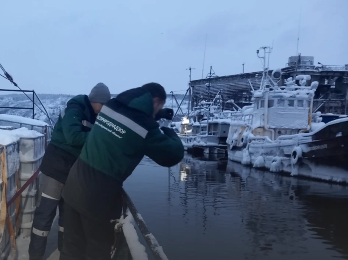 Владельца затонувшего судна обязали компенсировать вред Кольскому заливу / Фото: Пресс-служба Росприроднадзора