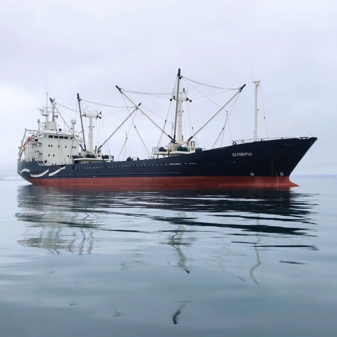 Группа «Норебо» подвела первые итоги промысла в 2026 году / Фото: