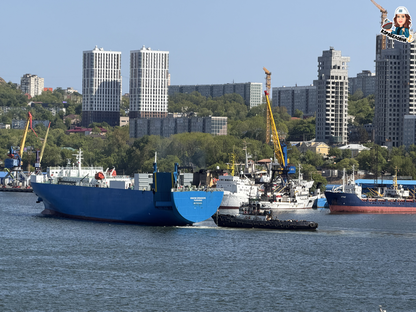 Май 2026 года. / Фото: Виктория Корабеловна ⚓