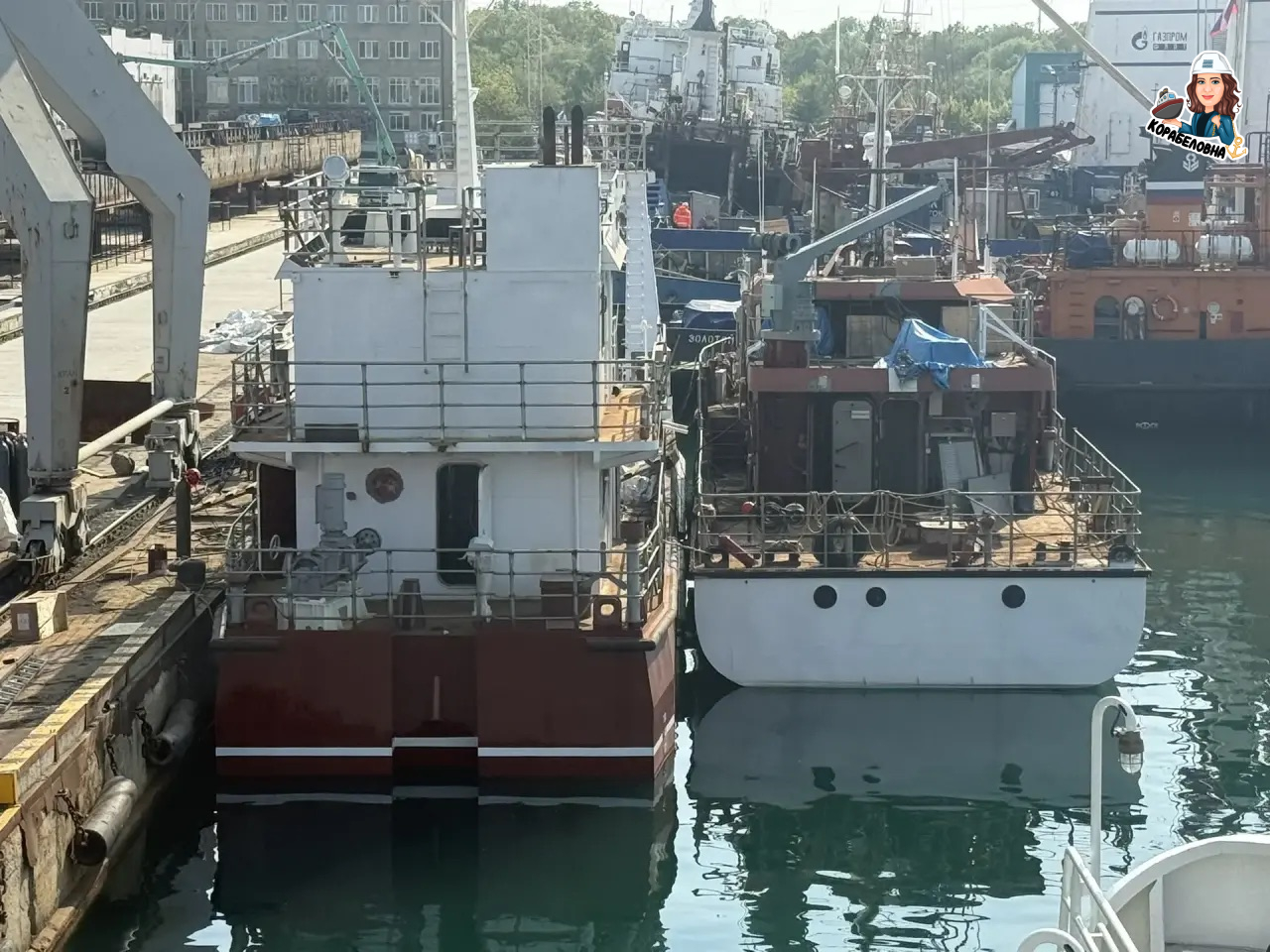 Фото: Виктория Корабеловна ⚓