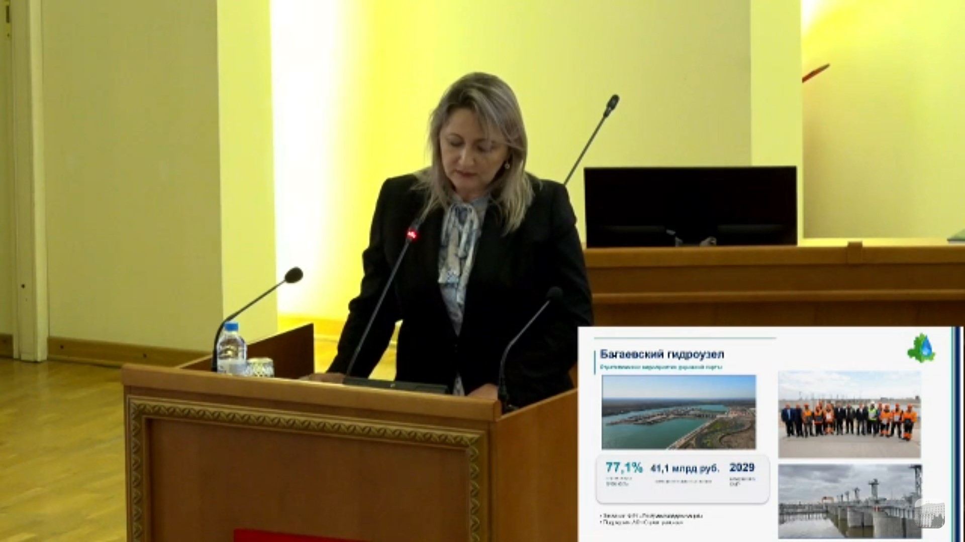 Министр природных ресурсов и экологии Ростовской области Алла Кушнарева / Фото: Пресс-служба правительства Ростовской области