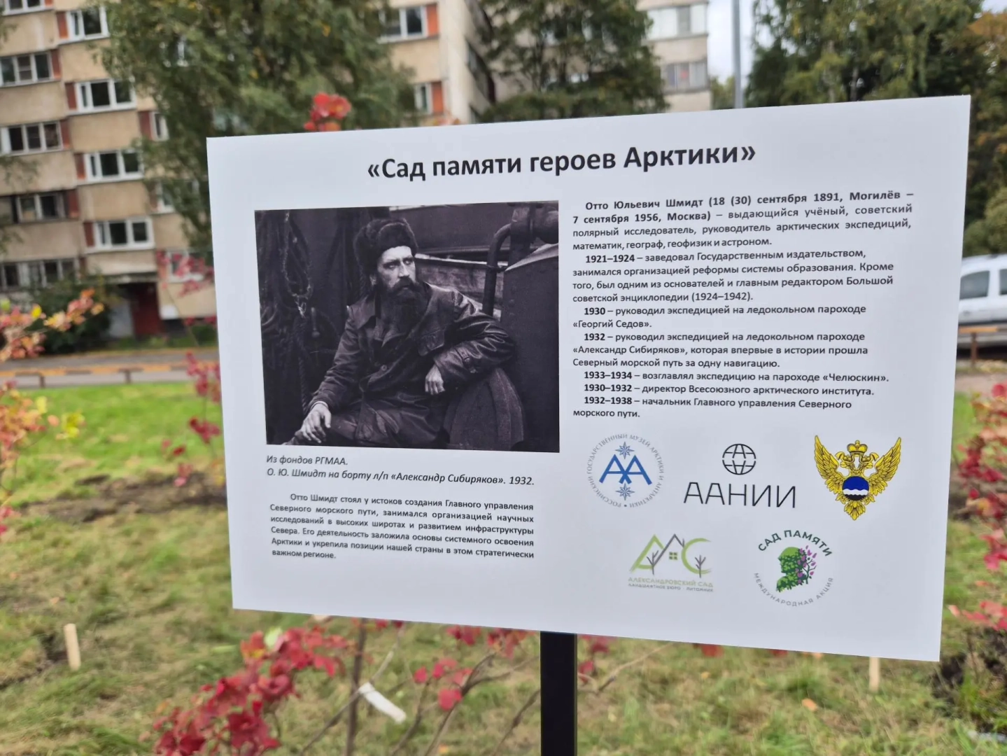 В Петербурге заложили «Сад памяти героев Арктики» к 135-летию Отто Шмидта / Фото: ААНИИ